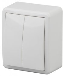Переключатель двухклавишный ЭРА Эксперт 10AX 250V 11-1204-01 Б0020663