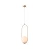 Светильник подвесной Penolo ST-Luce SL1118.203.01