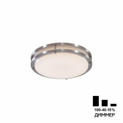 Настенно-потолочный светильник Citilux Бостон CL709321N
