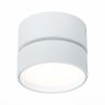 Накладной светодиодный светильник ST Luce ST651 ST651.542.14