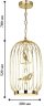 Подвесной светодиодный светильник Favourite Chick 1928-2P