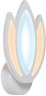 Настенный светодиодный светильник Ambrella light Acrylica FA453