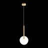 Светильник подвесной Sofio ST-Luce SL1054.203.01