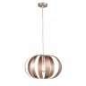 Подвесной светильник Vele Luce Ophir VL5324P21