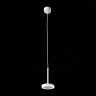 Светильник подвесной светодиодный ST-Luce Ciamella ST104.503.06