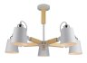 Потолочная люстра Arte Lamp с поддержкой Алиса A7141PL-5WH-A