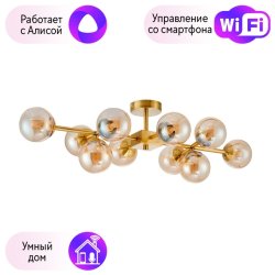 Потолочная люстра Favourite Varietas с поддержкой Алиса 2649-10U-A
