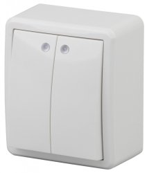 Переключатель двухклавишный с подсветкой ЭРА Эксперт 10AX 250V 11-1205-01 Б0020666