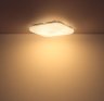 Светильник потолочный светодиодный с пультом ДУ Trystan Globo 48409-18RGB