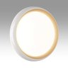 Настенно-потолочный светильник Sonex Pale Tofiq White 7650/DL