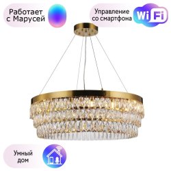 Подвесная люстра Favourite Magnitudo с поддержкой Маруся 2206-16P-М
