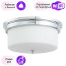 Потолочный светильник Arte Lamp с поддержкой Алиса A1735PL-3CC-A