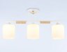Потолочный светильник Traditional Ambrella light TR9546