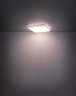 Потолочная светодиодная люстра с пультом ДУ Lassy Globo 48406-48SH