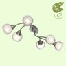 Потолочная люстра Lussole Lgo GRLSP-0142