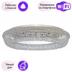 Потолочная люстра Dio DArte Elite с поддержкой Алиса Bari E 1.4.80.100 N-A