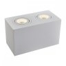 Накладной светильник Maytoni Technicall Atom C017CL-02W