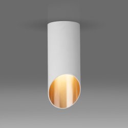 Накладной светильник Elektrostandard DLN114 GU10 белый/золото (a050119)