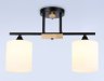 Потолочный светильник Traditional Ambrella light TR9543