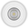 Потолочный светильник Lightstar Binoco 052016