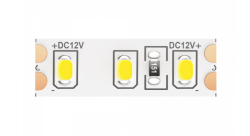 5м. Светодиодная лента белого цвета 4000K, 14,4W, 12V, 120LED, IP65 Led strip Maytoni 10118