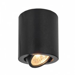 Потолочный точечный накладной поворотный светильник Citilux Дюрен CL538113