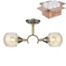 Потолочный светильник с лампочками Velante 214-507-02+Lamps E27 P45