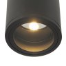 Уличный потолочный светильник Outdoor O306CL-L12GF