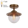 Потолочный светильник с лампочкой Favourite Farola 2027-1U+Lamps E14 Свеча