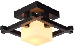 Потолочный светильник Arte Lamp Woods A8252PL-1CK
