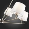 Люстра на штанге Evoluce Denice SLE300102-05