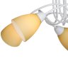 Потолочная люстра Vitaluce V3955-0/5PL