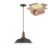 Светильник с ретро лампой Lumion Stig 3677/1+Retro Lamps