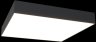 Потолочный светильник Maytoni Zon C067CL-L48B3K