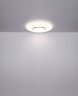 Потолочная светодиодная люстра с пультом ДУ Candida Globo 48311-30