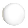 Потолочный светильник Lightstar Globo 803010