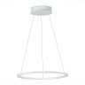 Подвесной светодиодный светильник St Luce OUT ST604.543.22