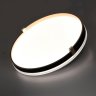 Настенно-потолочный светильник с пультом ДУ Sonex Pale Olidi Black 7647/EL