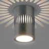 Накладной светильник с LED подсветкой DLS026 Elektrostandard (a053601)