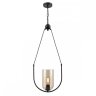 Подвесной светильник Vele Luce Fiamma VL5812P01