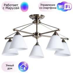 Люстра потолочная Arte Lamp Copter с поддержкой Маруся A3208PL-5AB-М