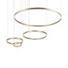 Светильник подвесной светодиодный Loft It Ring 10017/4S