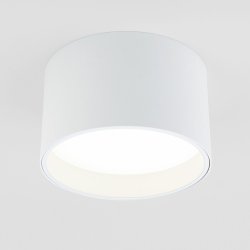 Накладной светодиодный светильник Elektrostandard 25123/LED Banti (a058846)