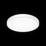 Потолочный светодиодный светильник Citilux Бейсик CL738240V