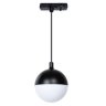 Однофазный светильник на подвесе для трека Virgo Arte Lamp A4564PL-1BK