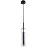 Подвесной светильник  с лампочкой Favourite Aenigma 2556-1P+Lamps Gu10