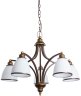 Подвесная люстра Arte Lamp Bonito A9518LM-5BA