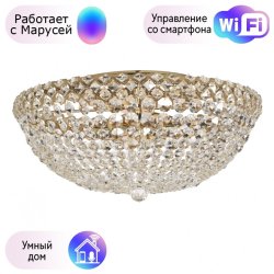 Потолочная люстра хрустальная Arti Lampadari Asti с поддержкой Маруся Asti E 1.2.50.100 G-М
