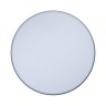 Потолочный светодиодный светильник Axel Loft It 10001/36 Grey