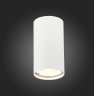 Накладной точечный светильник ST-Luce ST110.507.01